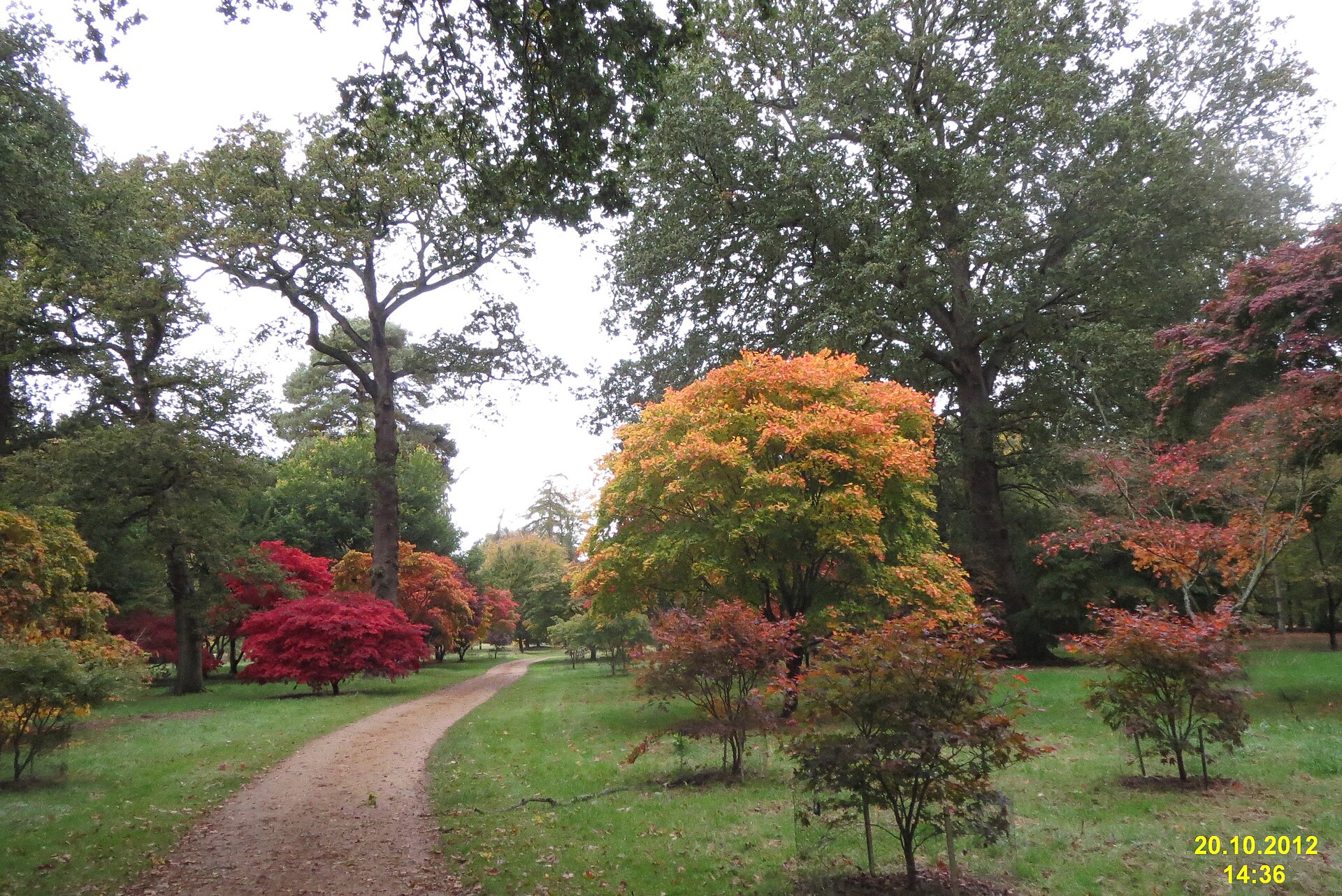 Il Windsor Great Park in autunno